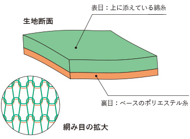 生地断面　表目：上に添えている綿糸　裏目：ベースのポリエステル糸　編み目の拡大